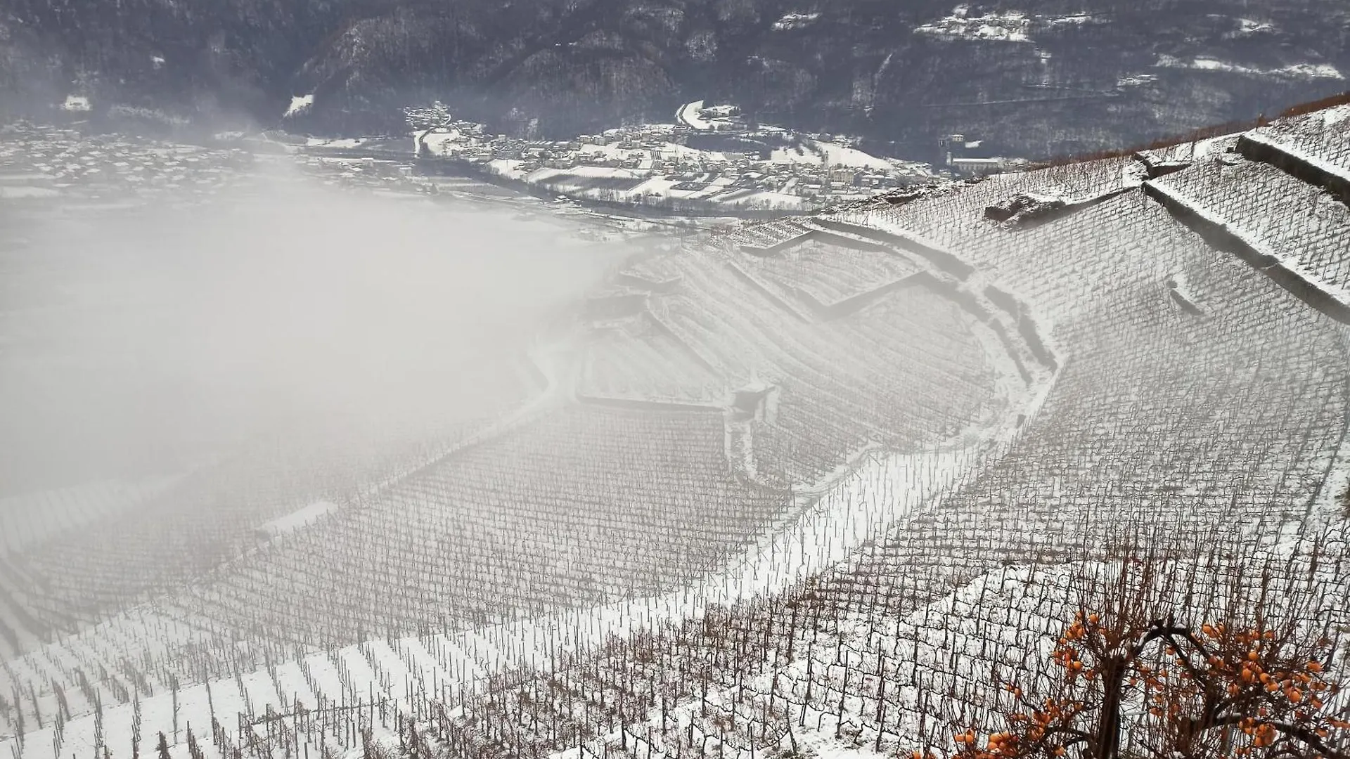 Апартаменты Casa Il Glicine Valtellina Tresivio 0*,  Италия