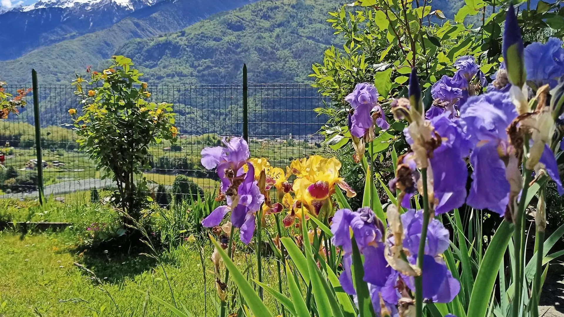 Апартаменты Casa Il Glicine Valtellina Tresivio